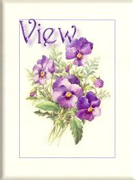 View My Guestbook
