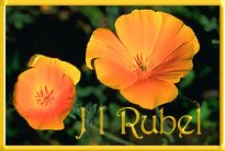 J I Rubel