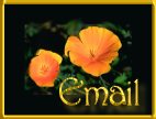 Email Me