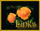 Favorite Links