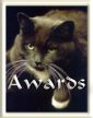 My Awards
