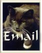 Email Me