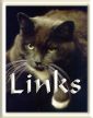 Favorite Links