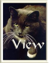 View My Guestbook