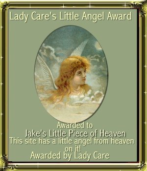 Lady Care's Award