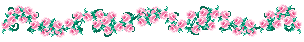 Rose Border