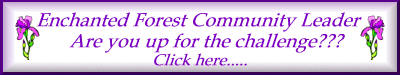Would you like to become a Community Leader?
