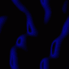 Black Background