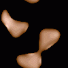 Black Background