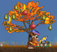 Im Winter ist dieser Baum nicht so prchtig.