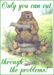 thumbnail of your picture 2