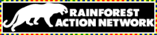 Save The Rainforests