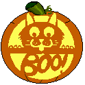 pumpkin cat