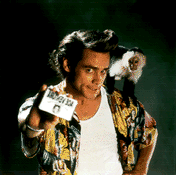 Ace Ventura # 4