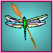 DAISY DRAGONFLY