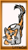 LITTLECAT
