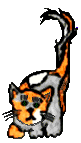 Little Cat