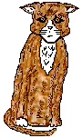 SadCat