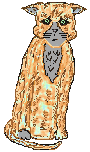 SadCat