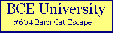 i attend bceu
