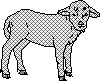 wpe5.gif (1833 bytes)