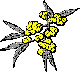 wattle.gif (1642 bytes)