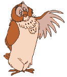 owl