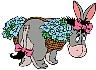 eeyorebunny.jpg