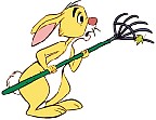 rabbitrake2.jpg