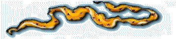 CPheart2d.gif (13648 bytes)
