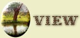 View Guestbook