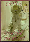Caitlin's Beautiful Site Award