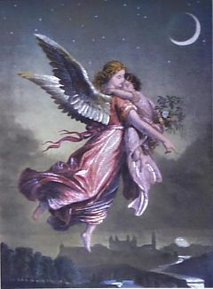 angflywchild.jpg (15826 bytes)
