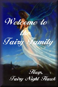 fairynighthawkwelgift.jpg (15286 bytes)