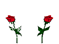 rosekisses1.gif (6918 bytes)
