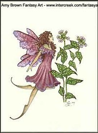 amyb_faeryburg.jpg (14979 bytes)