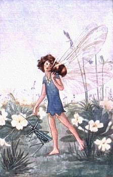 fae_bee.gif (62984 bytes)