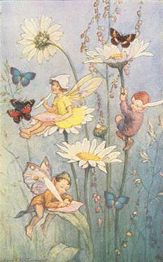 fae_daisies.gif (79903 bytes)