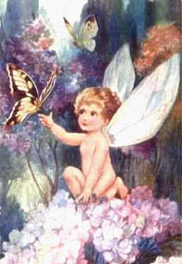 fairy2a_up.jpg (22212 bytes)