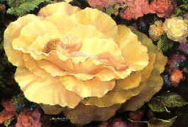 fairygold.jpg (41374 bytes)