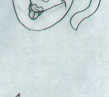 face011.gif (6749 bytes)