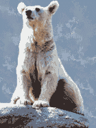 bear