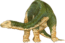 Apatosaurus