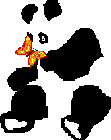 panda bear