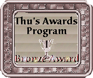 Bronze Award