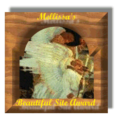 Mellissa's Beautiful Site Award
