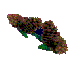 pinecones