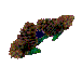 pinecones