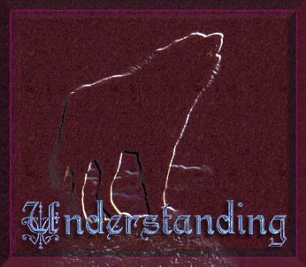 Understanding The Wolf