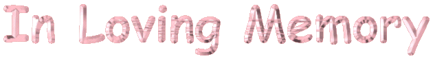 /user/goldmempink.gif